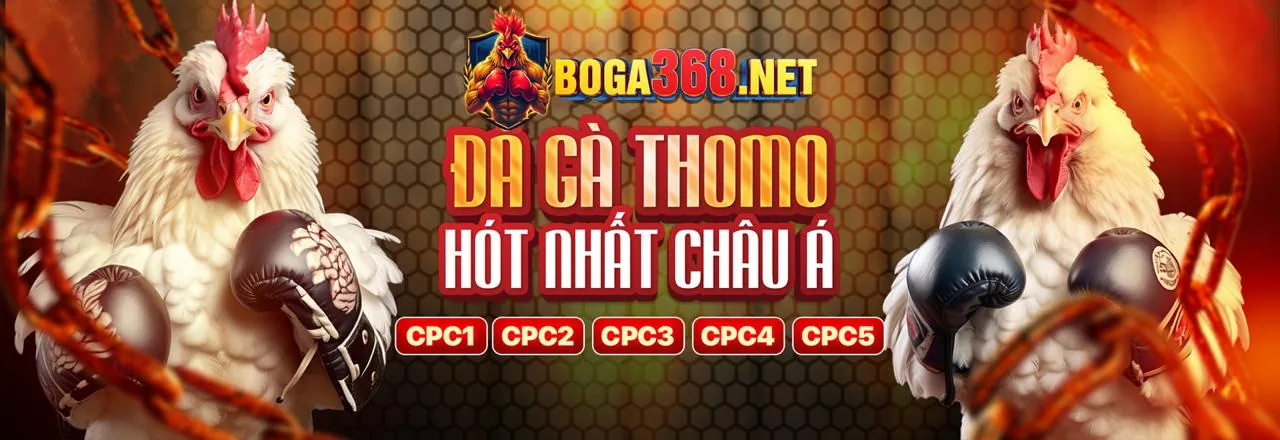 Đội ngũ chuyên gia của Đá gà trực tiếp CPC4