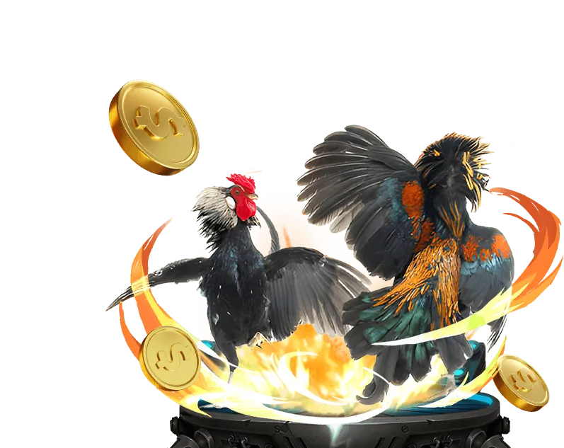 Hình ảnh đại diện thương hiệu Đá Gà Trực Tiếp CPC4